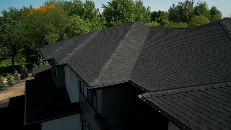 Best Roof Ventilation Installation  in Socastee, SC