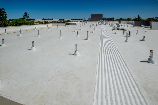 Best Metal Roofing Installation  in Socastee, SC